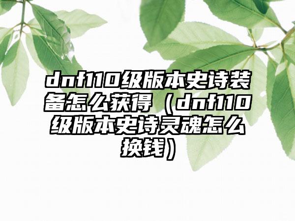 dnf110级版本史诗装备怎么获得（dnf110级版本史诗灵魂怎么换钱）