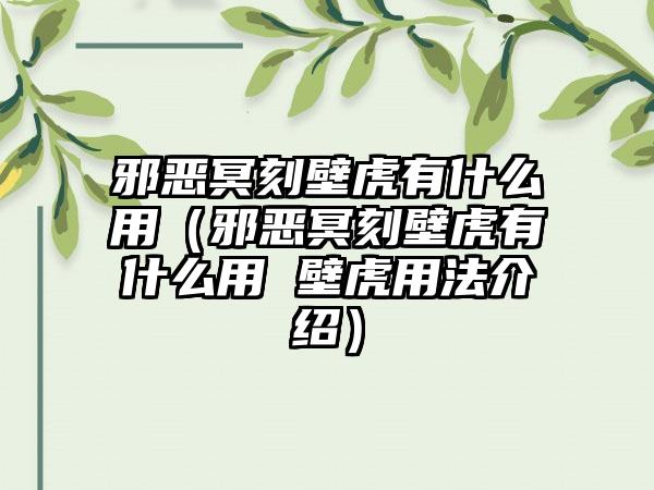 邪恶冥刻壁虎有什么用（邪恶冥刻壁虎有什么用 壁虎用法介绍）