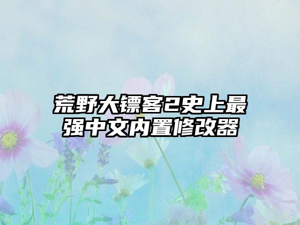 荒野大镖客2史上最强中文内置修改器