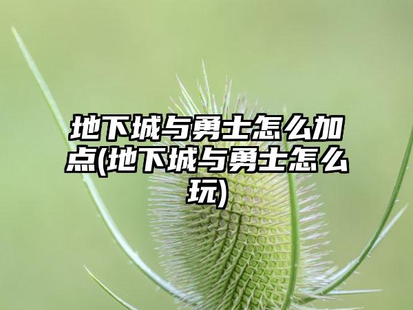 地下城与勇士怎么加点(地下城与勇士怎么玩)