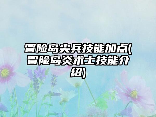 冒险岛尖兵技能加点(冒险岛炎术士技能介绍)