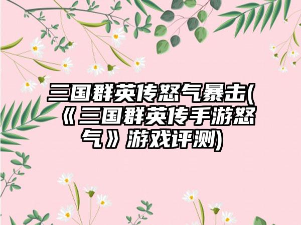 三国群英传怒气暴击(《三国群英传手游怒气》游戏评测)