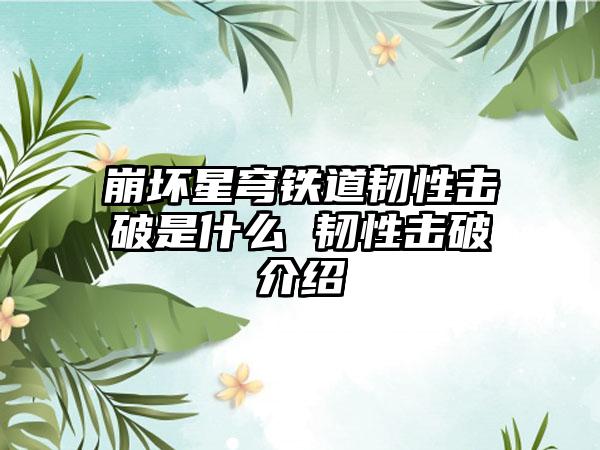 崩坏星穹铁道韧性击破是什么 韧性击破介绍