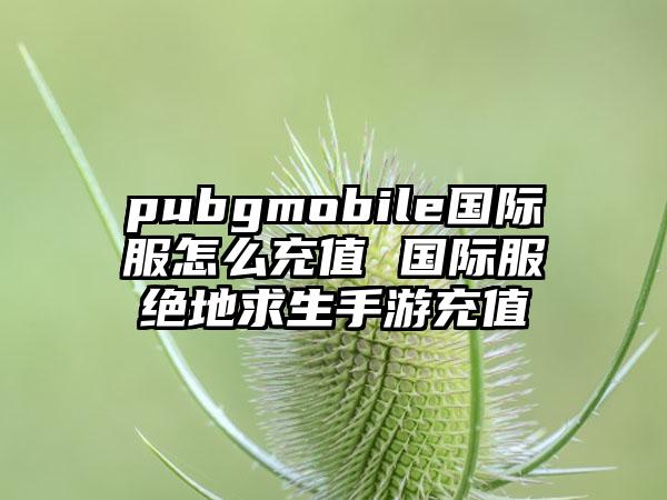 pubgmobile国际服怎么充值 国际服绝地求生手游充值