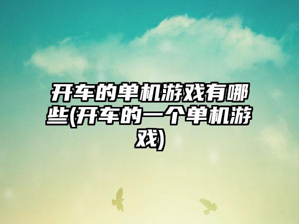 开车的单机游戏有哪些(开车的一个单机游戏)