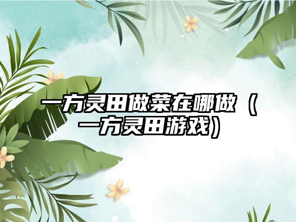 一方灵田做菜在哪做（一方灵田游戏）