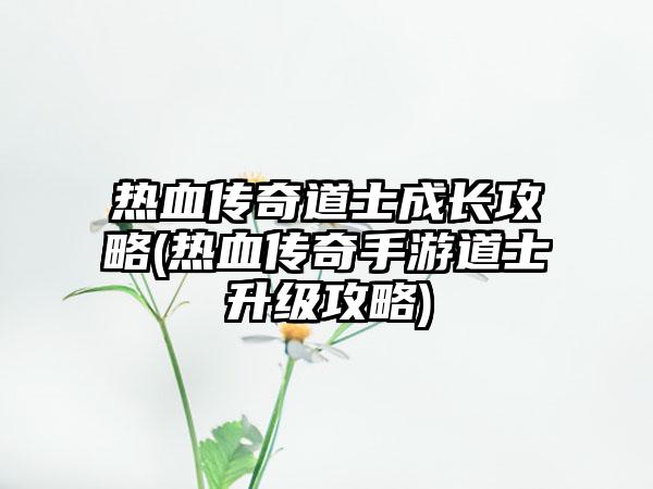 热血传奇道士成长攻略(热血传奇手游道士升级攻略)