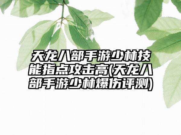 天龙八部手游少林技能指点攻击高(天龙八部手游少林爆伤评测)