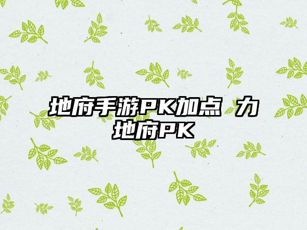 地府手游PK加点 力地府PK
