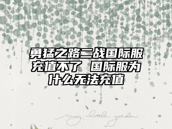 勇猛之路二战国际服充值不了 国际服为什么无法充值