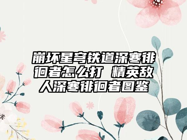 崩坏星穹铁道深寒徘徊者怎么打 精英敌人深寒徘徊者图鉴