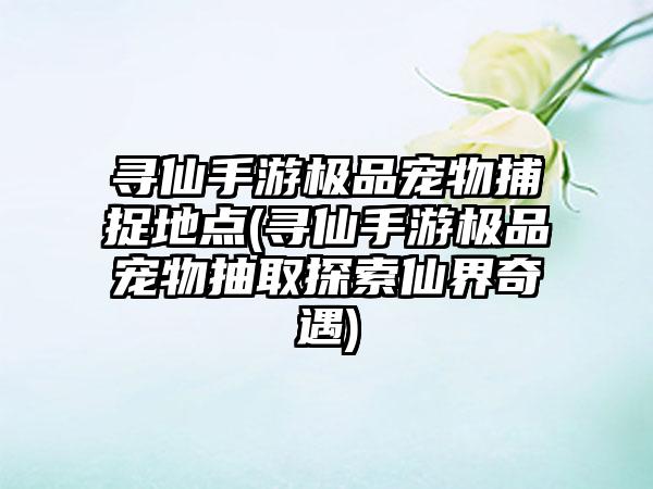 寻仙手游极品宠物捕捉地点(寻仙手游极品宠物抽取探索仙界奇遇)