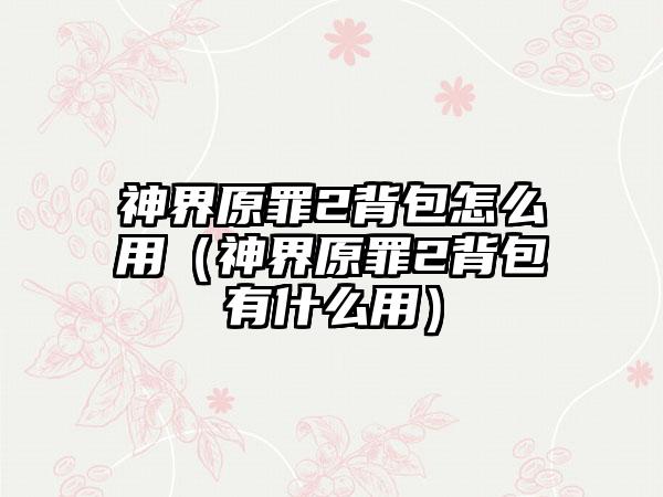 神界原罪2背包怎么用（神界原罪2背包有什么用）