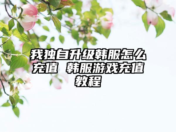 我独自升级韩服怎么充值 韩服游戏充值教程