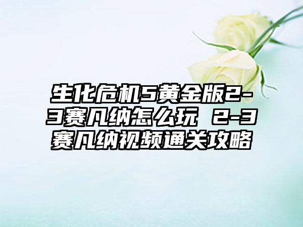生化危机5黄金版2-3赛凡纳怎么玩 2-3赛凡纳视频通关攻略