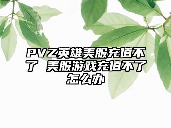 PVZ英雄美服充值不了 美服游戏充值不了怎么办