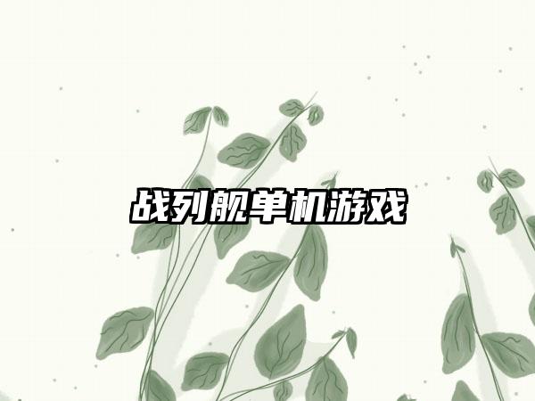 战列舰单机游戏