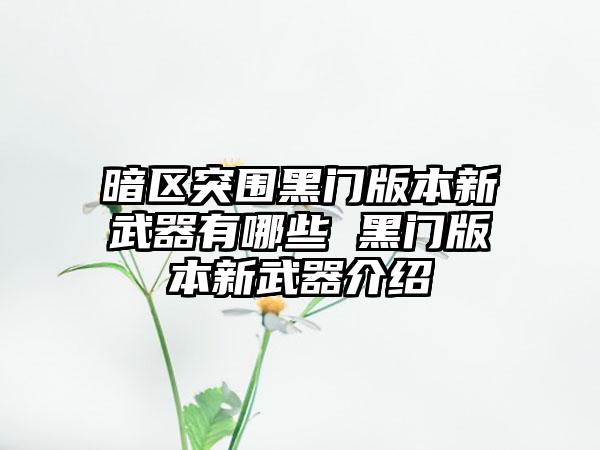 暗区突围黑门版本新武器有哪些 黑门版本新武器介绍