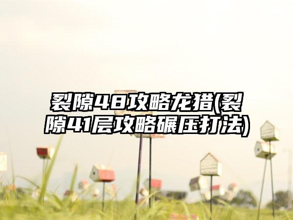 裂隙48攻略龙猎(裂隙41层攻略碾压打法)