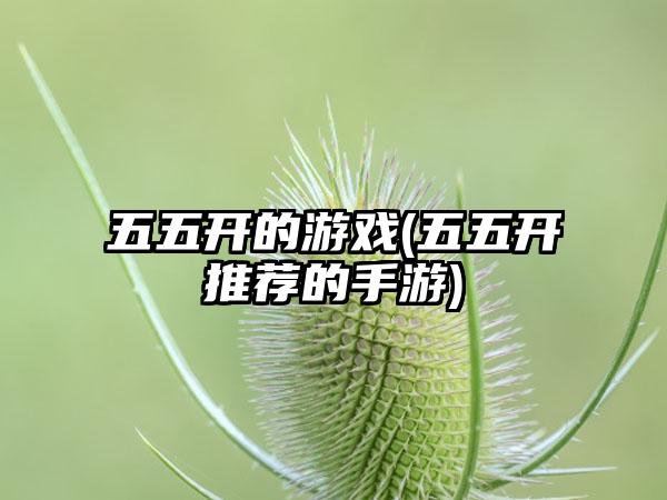 五五开的游戏(五五开推荐的手游)