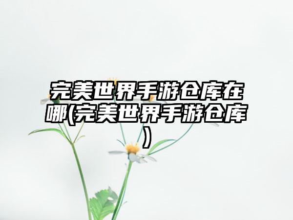 完美世界手游仓库在哪(完美世界手游仓库)