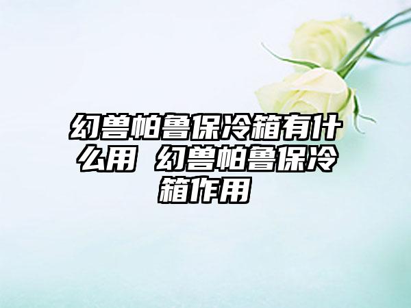 幻兽帕鲁保冷箱有什么用 幻兽帕鲁保冷箱作用