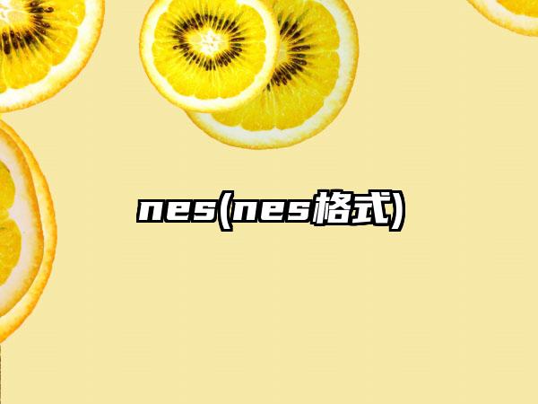 nes(nes格式)