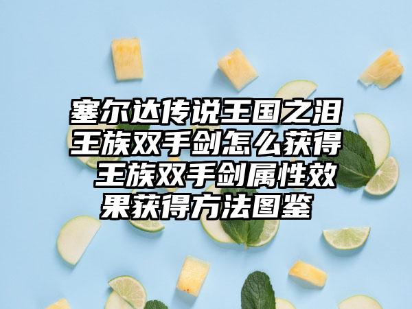 塞尔达传说王国之泪王族双手剑怎么获得 王族双手剑属性效果获得方法图鉴