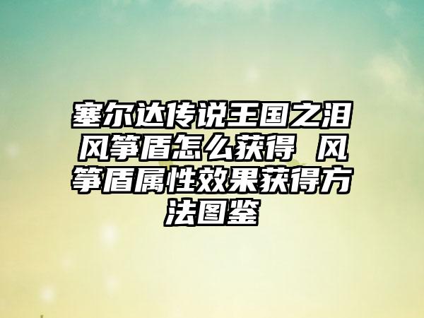 塞尔达传说王国之泪风筝盾怎么获得 风筝盾属性效果获得方法图鉴