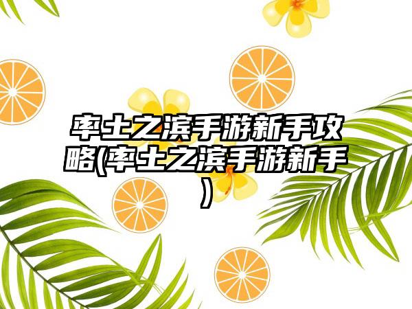 率土之滨手游新手攻略(率土之滨手游新手)