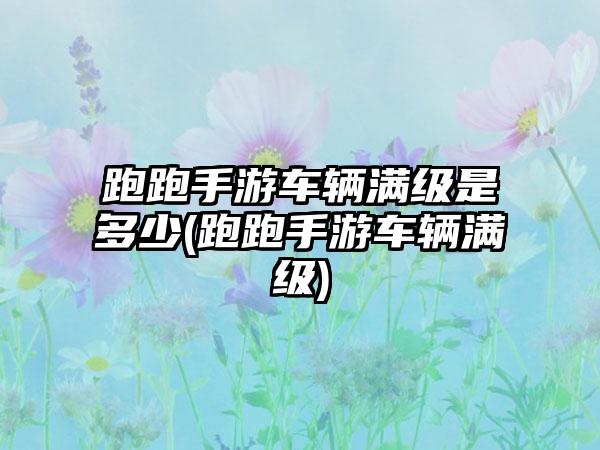 跑跑手游车辆满级是多少(跑跑手游车辆满级)