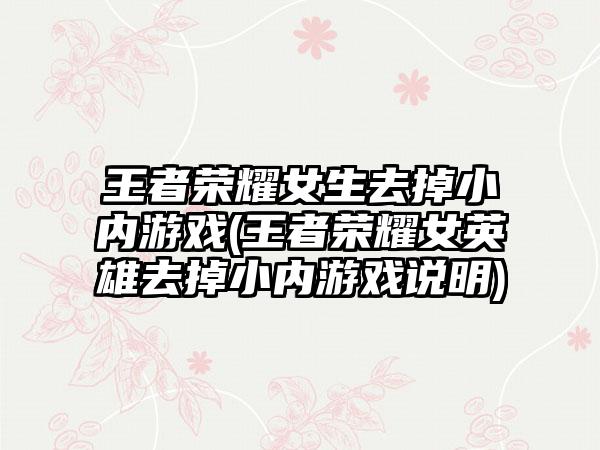 王者荣耀女生去掉小内游戏(王者荣耀女英雄去掉小内游戏说明)