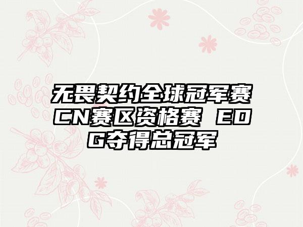 无畏契约全球冠军赛CN赛区资格赛 EDG夺得总冠军