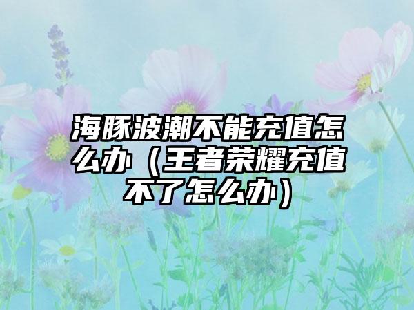 海豚波潮不能充值怎么办（王者荣耀充值不了怎么办）