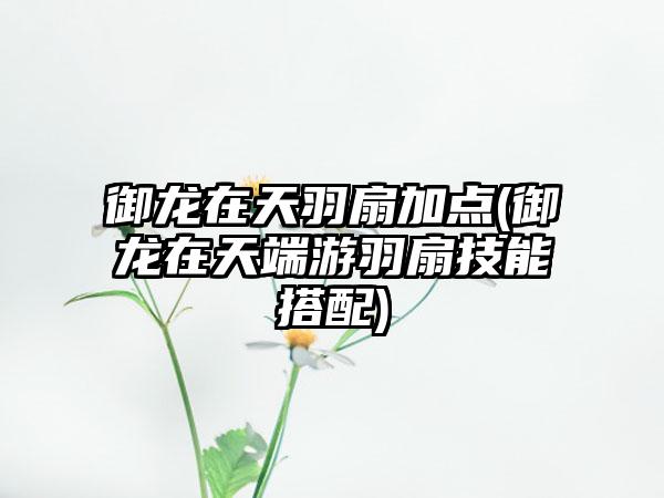 御龙在天羽扇加点(御龙在天端游羽扇技能搭配)