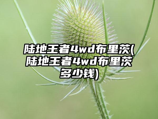 陆地王者4wd布里茨(陆地王者4wd布里茨多少钱)