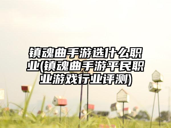镇魂曲手游选什么职业(镇魂曲手游平民职业游戏行业评测)