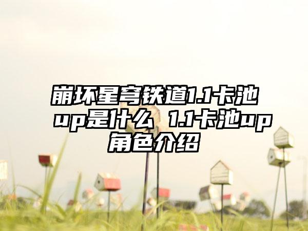 崩坏星穹铁道1.1卡池up是什么 1.1卡池up角色介绍