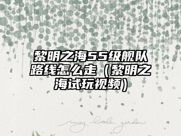 黎明之海55级舰队路线怎么走（黎明之海试玩视频）