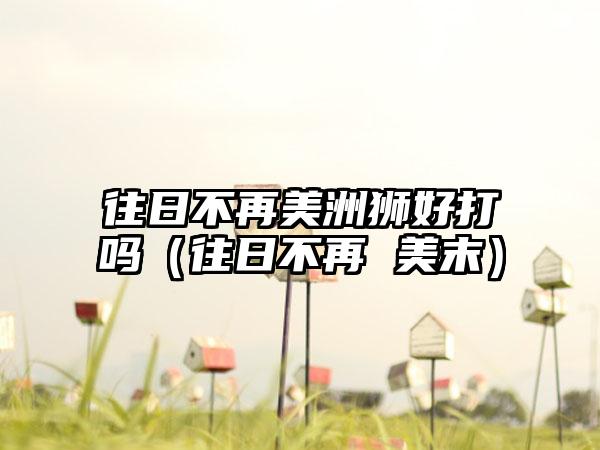 往日不再美洲狮好打吗（往日不再 美末）