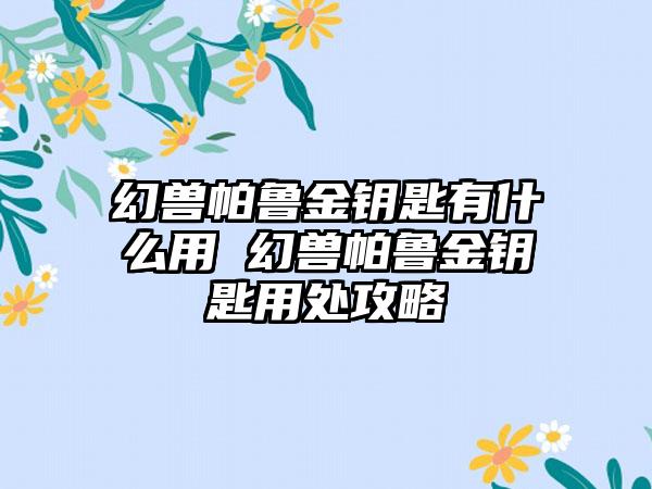 幻兽帕鲁金钥匙有什么用 幻兽帕鲁金钥匙用处攻略