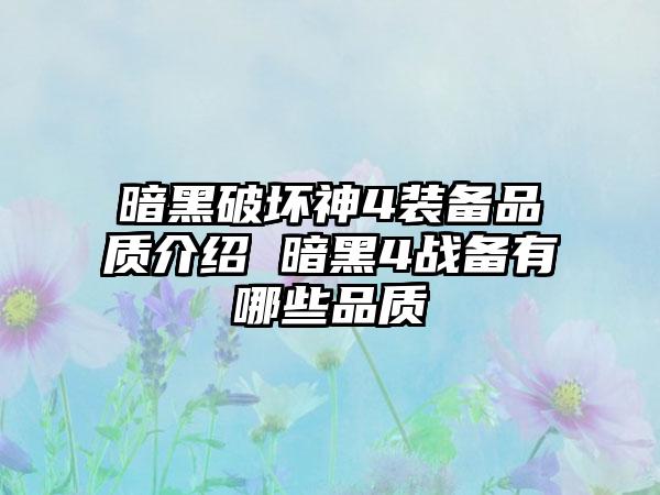 暗黑破坏神4装备品质介绍 暗黑4战备有哪些品质