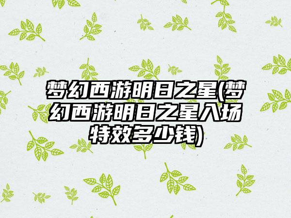 梦幻西游明日之星(梦幻西游明日之星入场特效多少钱)