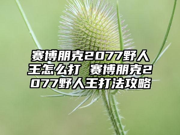 赛博朋克2077野人王怎么打 赛博朋克2077野人王打法攻略