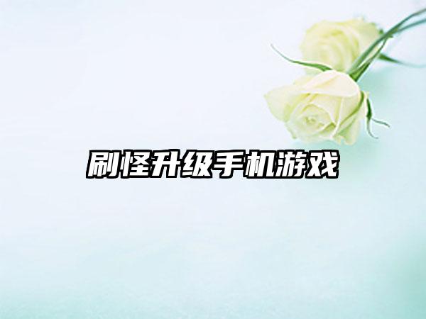 刷怪升级手机游戏