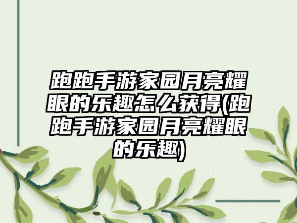 跑跑手游家园月亮耀眼的乐趣怎么获得(跑跑手游家园月亮耀眼的乐趣)