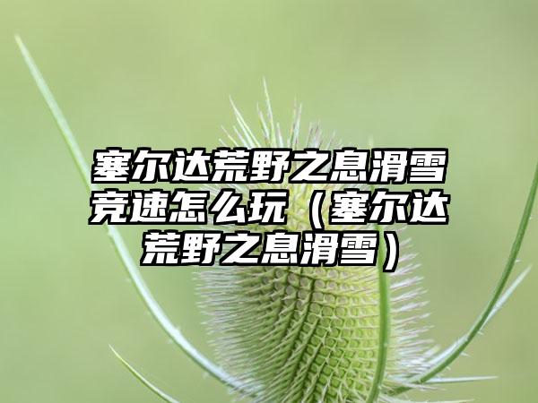 塞尔达荒野之息滑雪竞速怎么玩（塞尔达荒野之息滑雪）