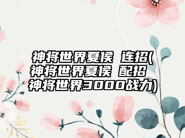 神将世界夏侯惇连招(神将世界夏侯惇配招 神将世界3000战力)
