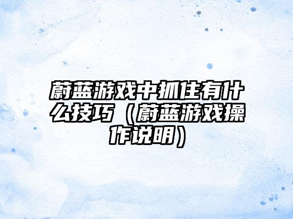 蔚蓝游戏中抓住有什么技巧（蔚蓝游戏操作说明）