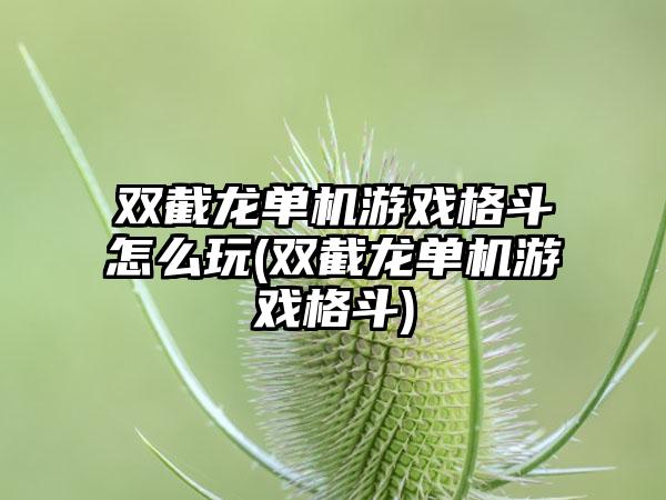 双截龙单机游戏格斗怎么玩(双截龙单机游戏格斗)